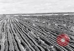 Image of Barty O'Brien Ireland, 1948, second 15 stock footage video 65675032542