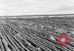 Image of Barty O'Brien Ireland, 1948, second 16 stock footage video 65675032542
