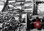 Image of Barty O'Brien Ireland, 1948, second 17 stock footage video 65675032542