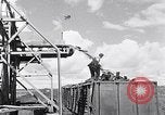 Image of Barty O'Brien Ireland, 1948, second 23 stock footage video 65675032542