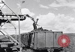 Image of Barty O'Brien Ireland, 1948, second 24 stock footage video 65675032542