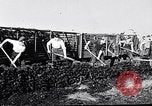 Image of Barty O'Brien Ireland, 1948, second 26 stock footage video 65675032542