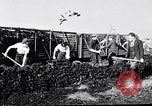 Image of Barty O'Brien Ireland, 1948, second 27 stock footage video 65675032542