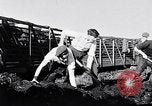 Image of Barty O'Brien Ireland, 1948, second 32 stock footage video 65675032542