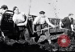 Image of Barty O'Brien Ireland, 1948, second 33 stock footage video 65675032542