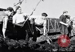 Image of Barty O'Brien Ireland, 1948, second 34 stock footage video 65675032542