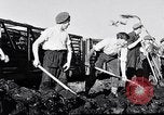 Image of Barty O'Brien Ireland, 1948, second 35 stock footage video 65675032542