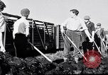 Image of Barty O'Brien Ireland, 1948, second 37 stock footage video 65675032542