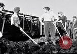Image of Barty O'Brien Ireland, 1948, second 38 stock footage video 65675032542