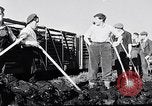 Image of Barty O'Brien Ireland, 1948, second 39 stock footage video 65675032542