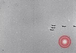 Image air show Tushino Russie, 1956, de la seconde 5 séquences d'archives historiques vidéo 65675032562