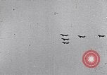 Image air show Tushino Russie, 1956, de la seconde 6 séquences d'archives historiques vidéo 65675032562