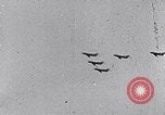 Image air show Tushino Russie, 1956, de la seconde 7 séquences d'archives historiques vidéo 65675032562