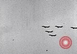 Image air show Tushino Russie, 1956, de la seconde 12 séquences d'archives historiques vidéo 65675032562