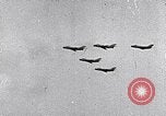 Image air show Tushino Russie, 1956, de la seconde 13 séquences d'archives historiques vidéo 65675032562