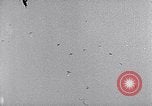 Standbild Tushino Air Show Tushino Russland, 1956, aus Sekunde 46 historischem Filmmaterial Videoclip 65675032567
