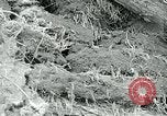 Image of drought United States USA, 1936, second 28 stock footage video 65675032593