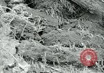 Image of drought United States USA, 1936, second 29 stock footage video 65675032593