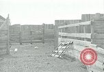 Image of drought United States USA, 1936, second 50 stock footage video 65675032593
