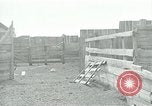 Image of drought United States USA, 1936, second 51 stock footage video 65675032593