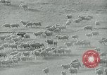 Image of drought United States USA, 1936, second 6 stock footage video 65675032594