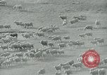 Image of drought United States USA, 1936, second 7 stock footage video 65675032594