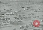 Image of drought United States USA, 1936, second 8 stock footage video 65675032594