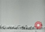 Image of drought United States USA, 1936, second 11 stock footage video 65675032594