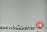 Image of drought United States USA, 1936, second 12 stock footage video 65675032594