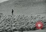 Image of drought United States USA, 1936, second 13 stock footage video 65675032594