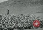 Image of drought United States USA, 1936, second 14 stock footage video 65675032594
