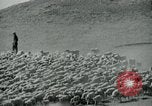 Image of drought United States USA, 1936, second 15 stock footage video 65675032594