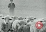 Image of drought United States USA, 1936, second 16 stock footage video 65675032594