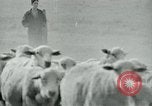 Image of drought United States USA, 1936, second 18 stock footage video 65675032594