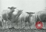 Image of drought United States USA, 1936, second 20 stock footage video 65675032594
