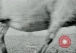 Image of drought United States USA, 1936, second 22 stock footage video 65675032594