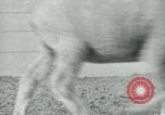 Image of drought United States USA, 1936, second 23 stock footage video 65675032594