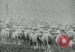Image of drought United States USA, 1936, second 24 stock footage video 65675032594