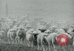Image of drought United States USA, 1936, second 25 stock footage video 65675032594