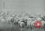 Image of drought United States USA, 1936, second 26 stock footage video 65675032594