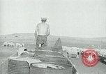 Image of drought United States USA, 1936, second 37 stock footage video 65675032594