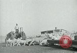 Image of drought United States USA, 1936, second 43 stock footage video 65675032594