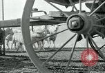 Image of drought United States USA, 1936, second 52 stock footage video 65675032594