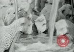 Image of drought United States USA, 1936, second 57 stock footage video 65675032594
