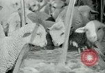 Image of drought United States USA, 1936, second 58 stock footage video 65675032594