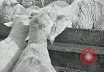 Image of drought United States USA, 1936, second 59 stock footage video 65675032594