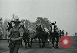 Image of relief work United States USA, 1936, second 44 stock footage video 65675032595