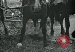 Image of relief work United States USA, 1936, second 49 stock footage video 65675032595