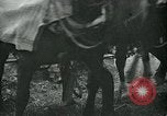 Image of relief work United States USA, 1936, second 51 stock footage video 65675032595