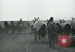 Image of relief work United States USA, 1936, second 58 stock footage video 65675032595